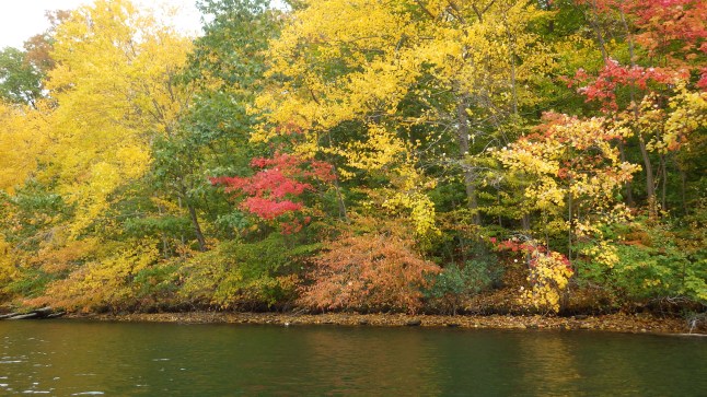 Trees of yellow, orange, red and green by the water's edge